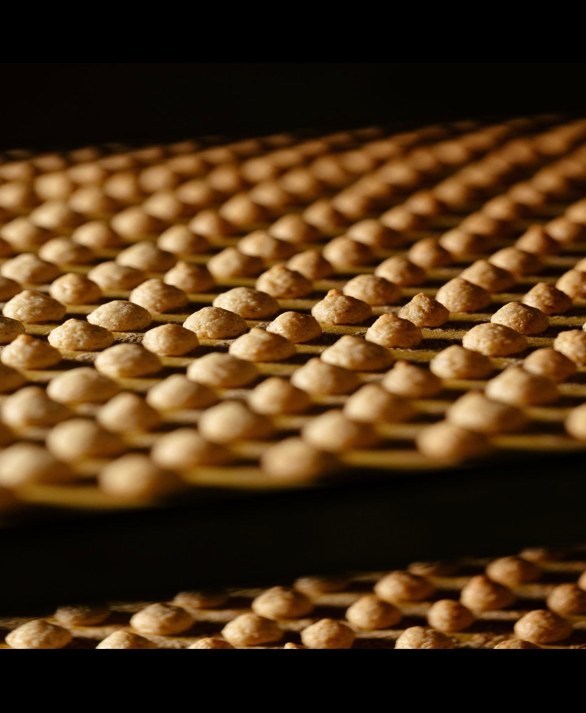 Nocciolini Classici
