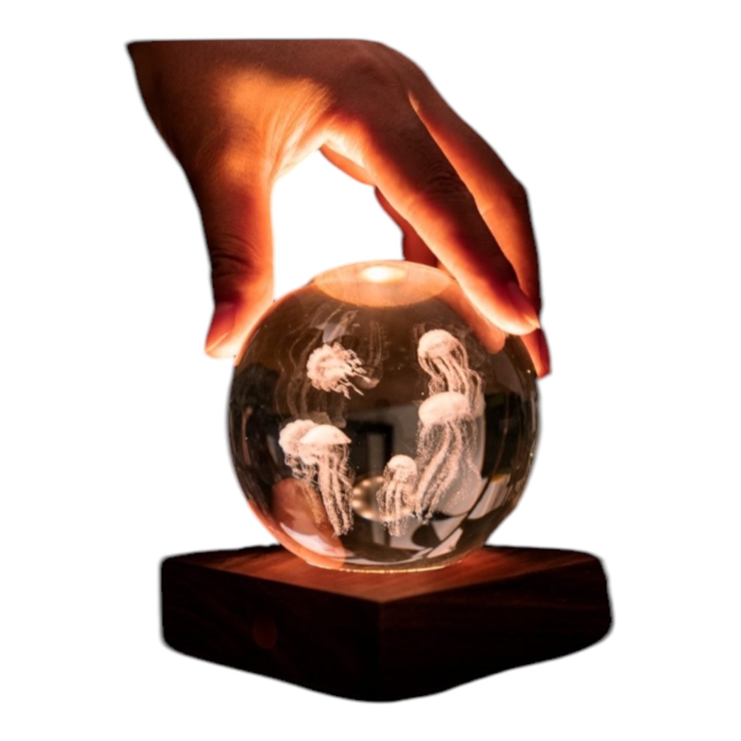 Crystal Ball Animale