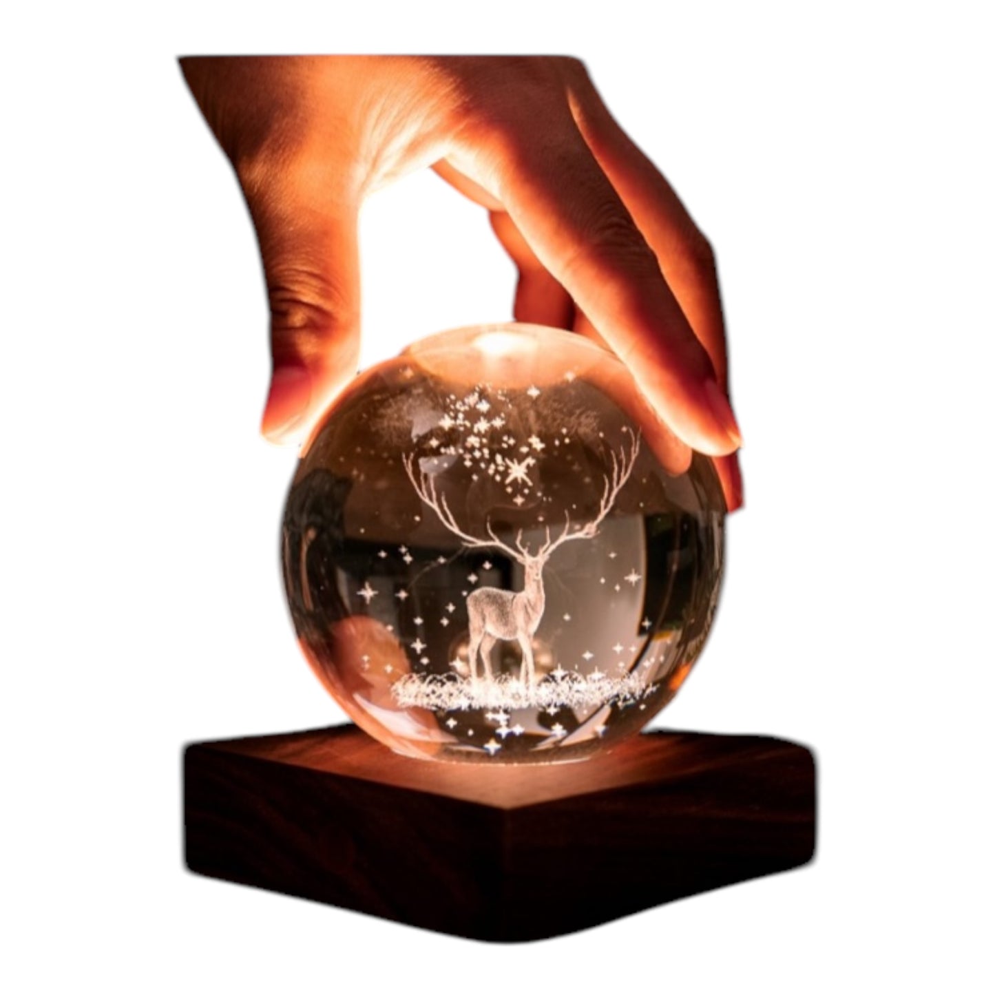 Crystal Ball Animale