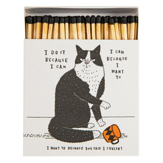 Fiammiferi Gatto I do it