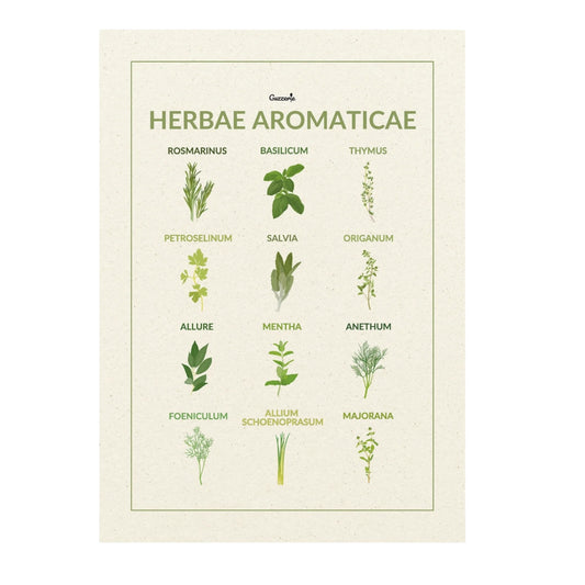Erbe Aromatiche The Guide