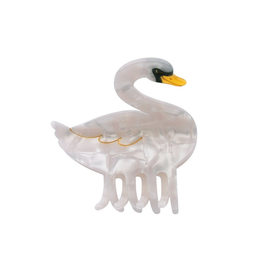 Molletta Cigno