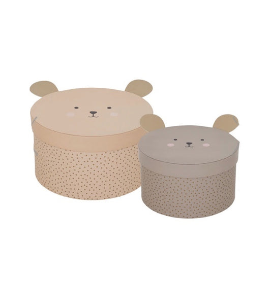 Scatola Orso