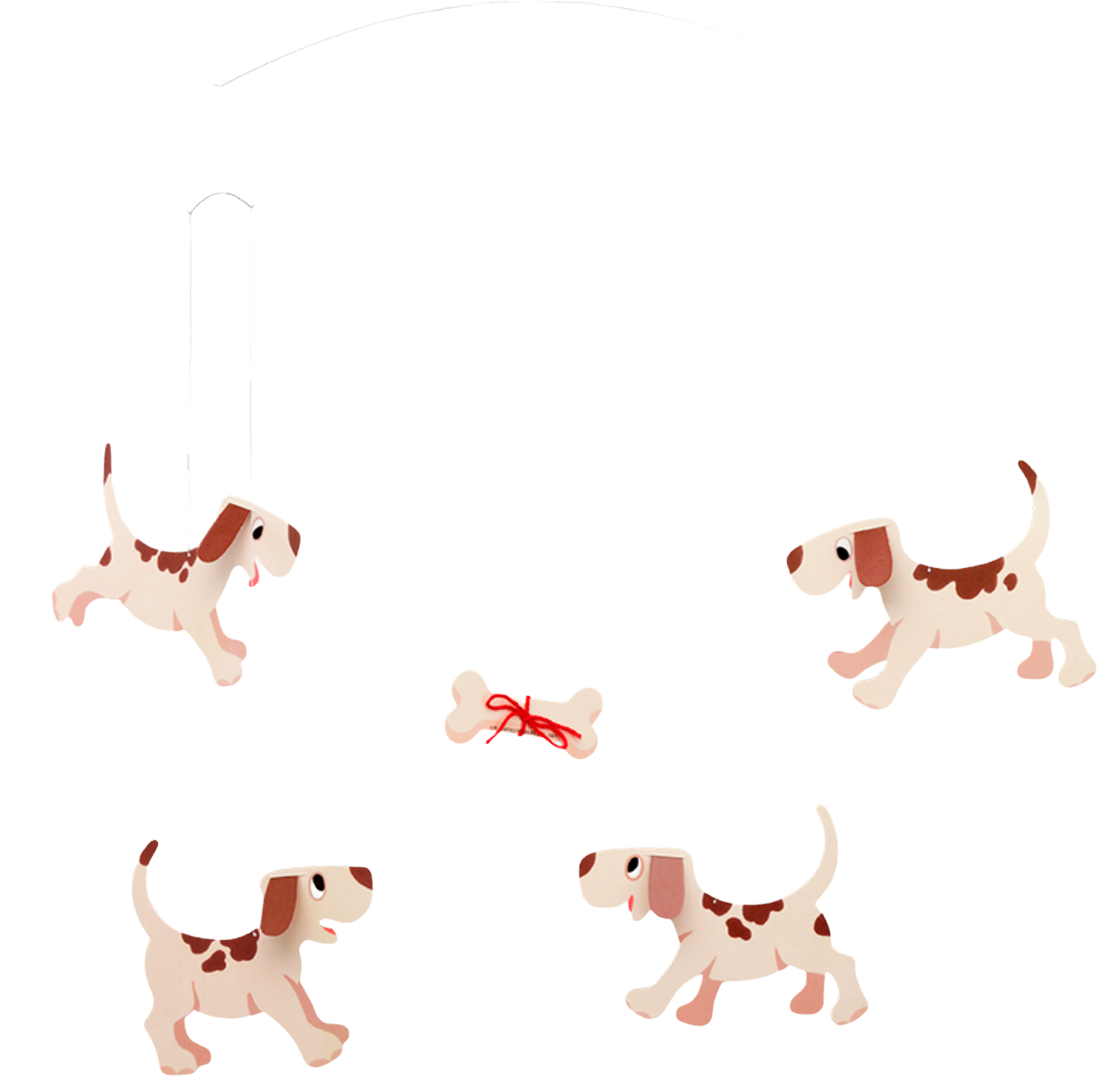 Cani