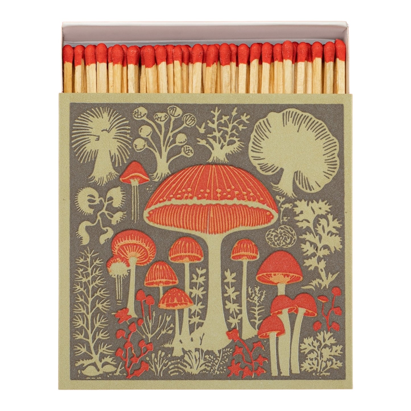 Fiammiferi Funghi