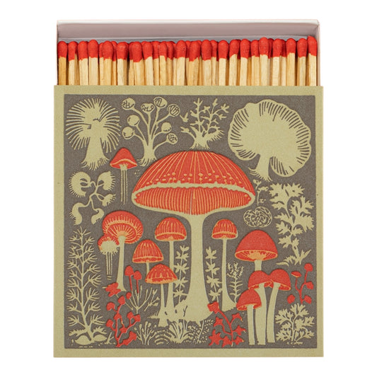 Fiammiferi Funghi