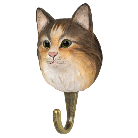 Gancio Gatto Norvegese