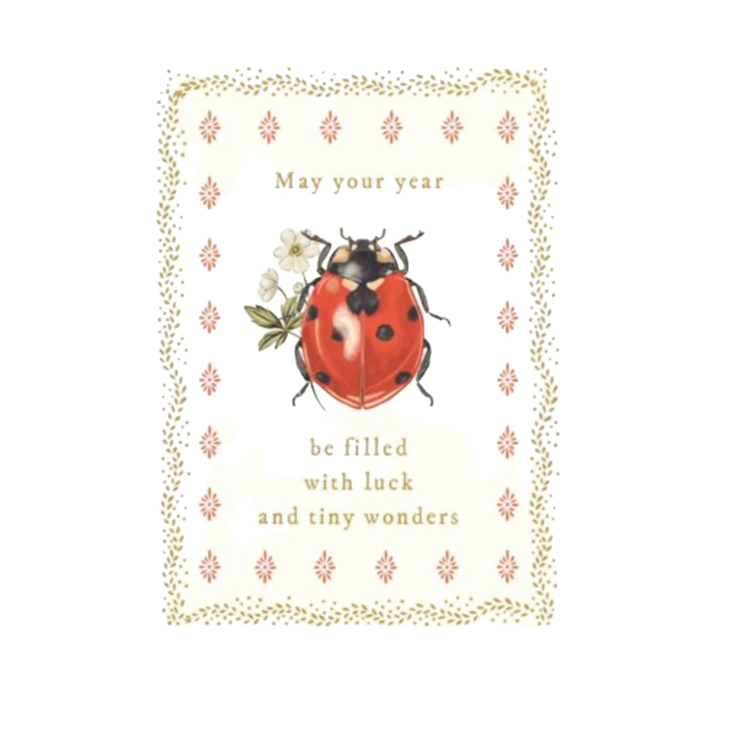 Biglietto Coll Tale & Ivy