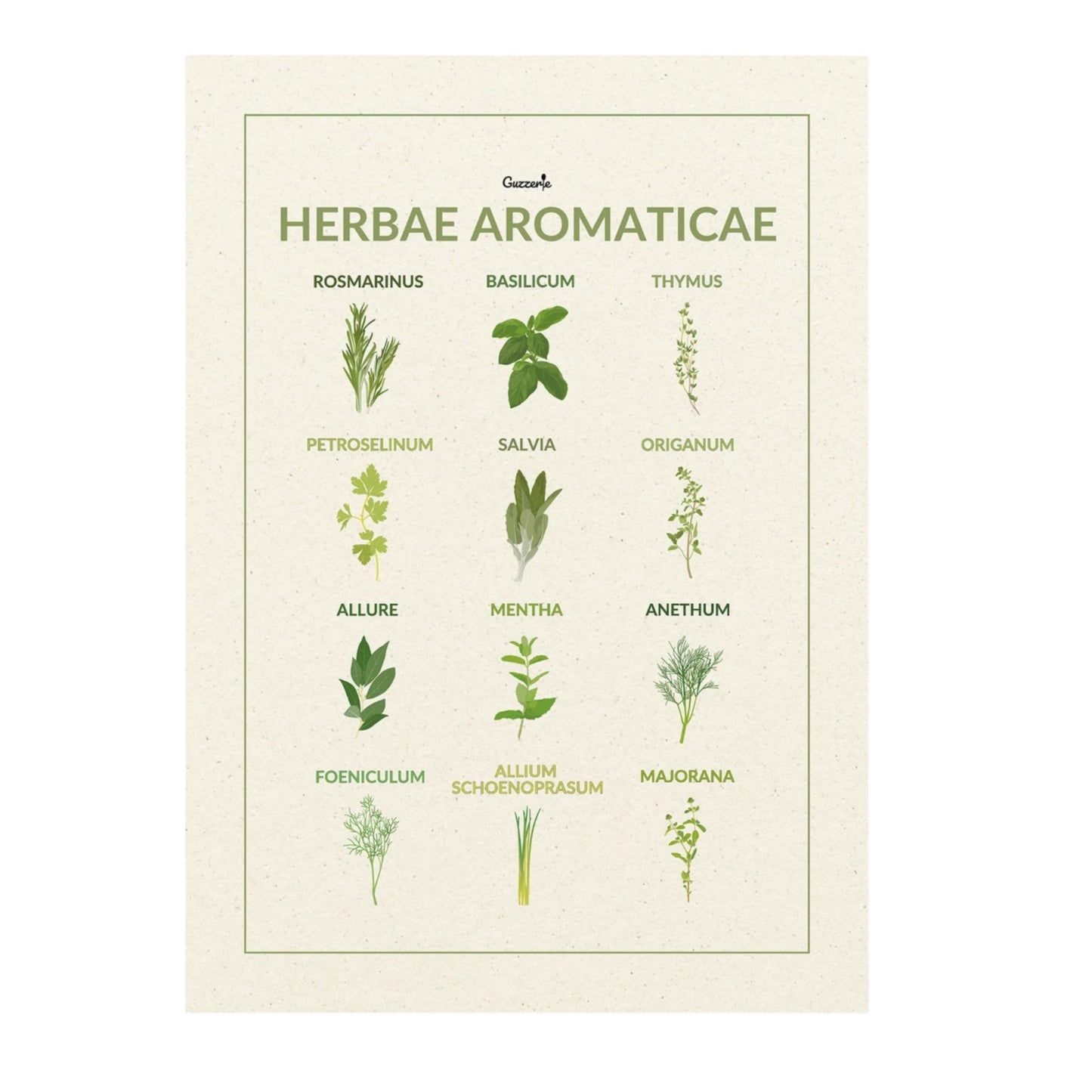 Erbe Aromatiche The Guide