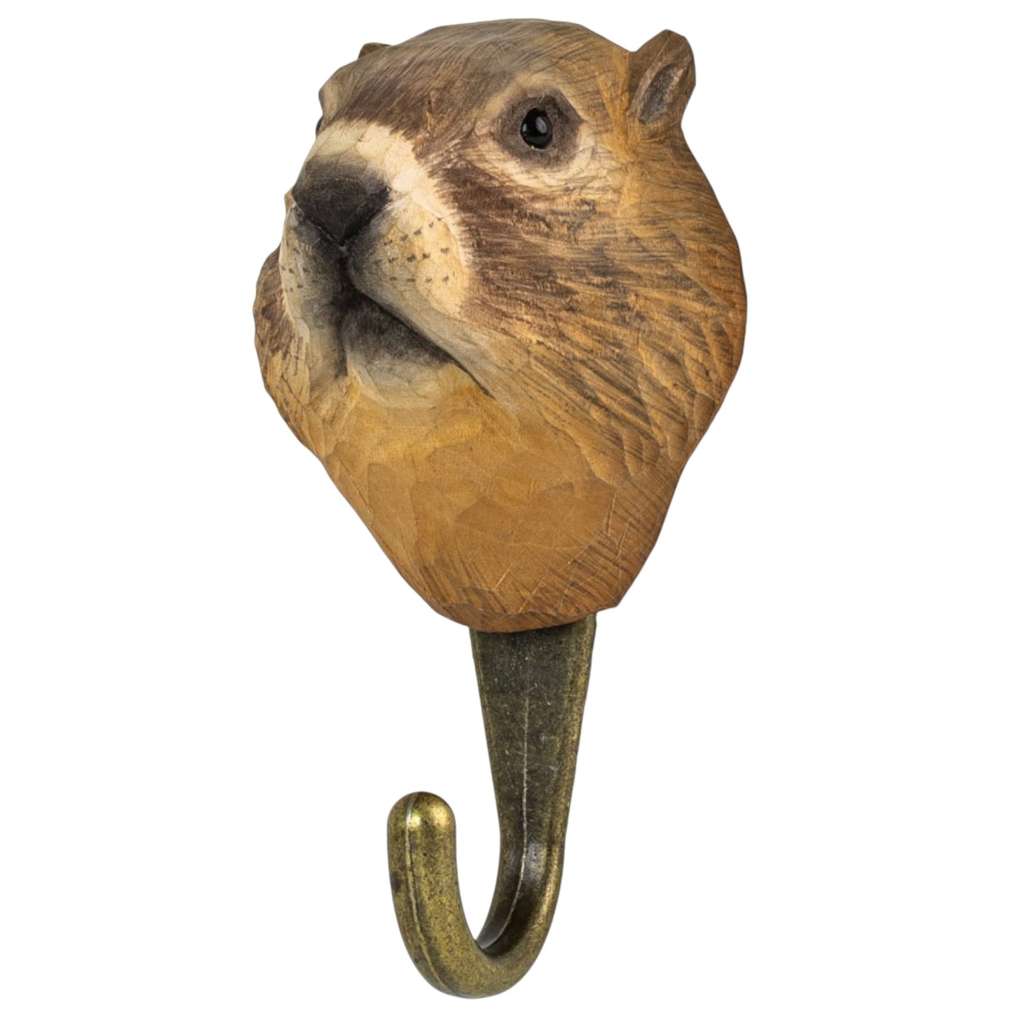 Gancio Marmotta